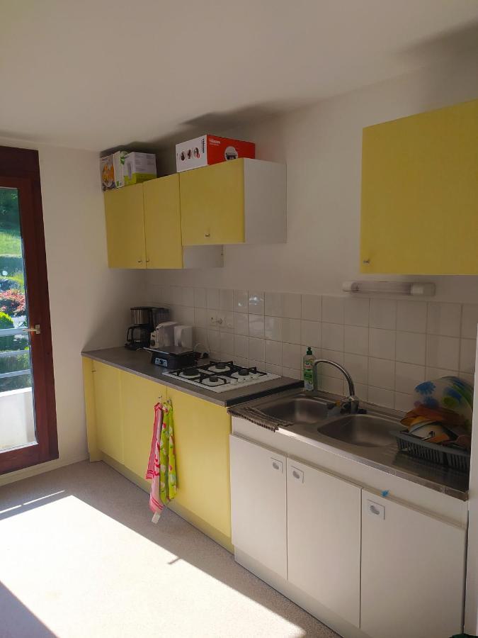 Chambre Privee 2 Pas Du Lac Chez L'Habitant 塞夫里耶 外观 照片